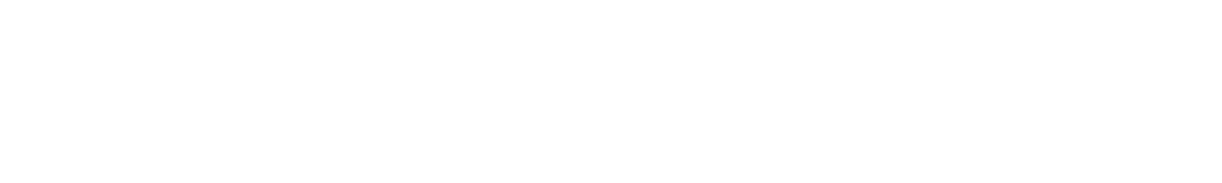 nz government logo